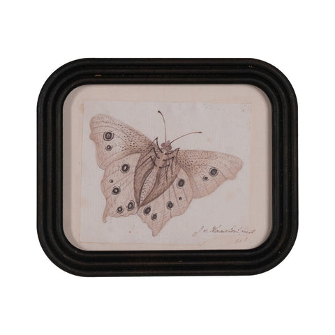 Cuadro mariposa rectangular (modelo 1)