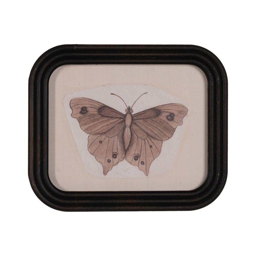 Cuadro mariposa rectangular (modelo 2)