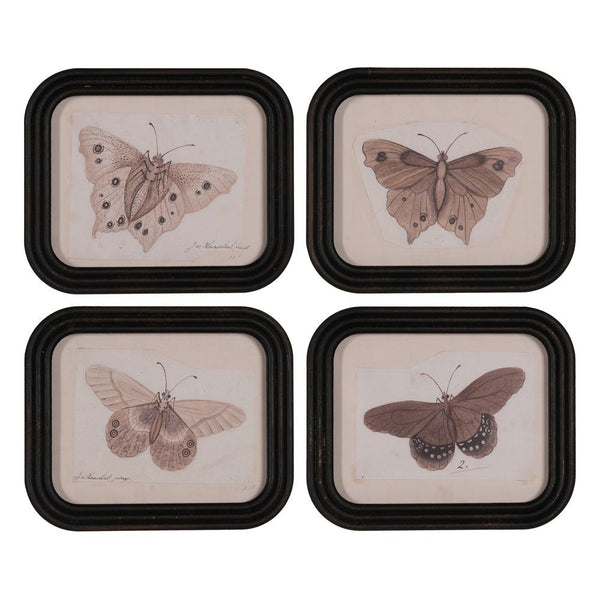 Cuadro mariposa rectangular (modelo 2)