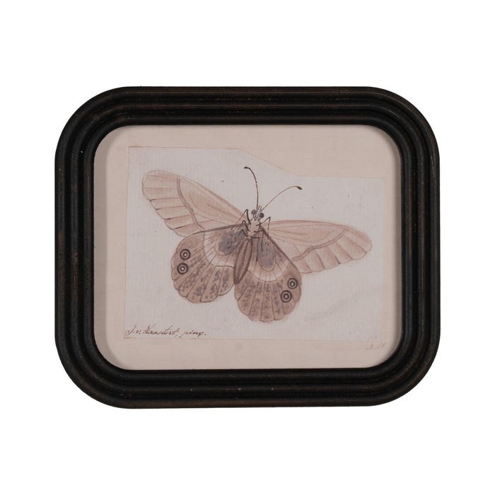 Cuadro mariposa rectangular (modelo 3)