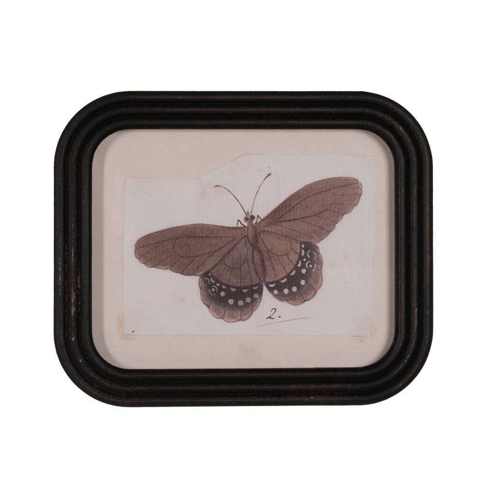 Cuadro mariposa rectangular (modelo 4)